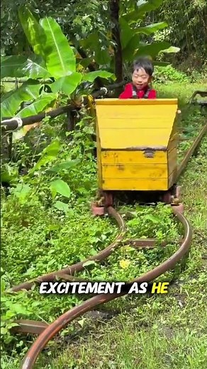 Thrilling Homemade Roller Coaster