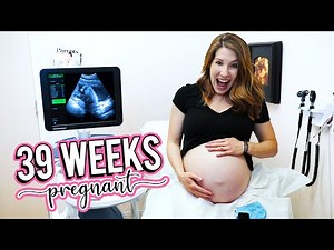 IT'S OFFICIALLY BABY WATCH TIME! - 39 Week Ultrasound!