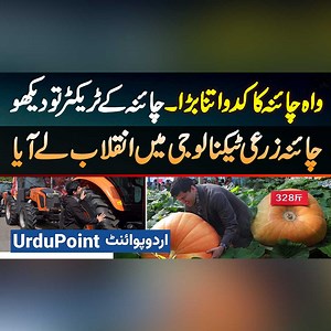 149K views · 2.1K reactions | China Agricultural Technology Mein Revolution Le Aaya - 200 KG Tak Ka Ek Pumpkin And Modern Tractor #Agriculture #Farming #Farmers #AgricultureTechnology #AgricultureRevolution #China | UrduPoint Videos | Facebook