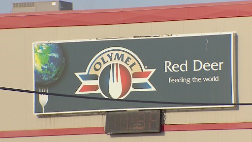 55K views · 351 reactions | This spring, a coronavirus outbreak swept through the Olymel pork processing plant in Red Deer, Alta., infecting more than 500 workers and leaving three dead. Workers say the plant should have been closed sooner than it was. | CBC News | Facebook