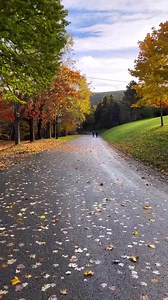 25K views · 654 reactions | More rustle, less bustle. : Adrian Reyno Braza, Bowring Park, St. John's | Newfoundland & Labrador Tourism | Facebook