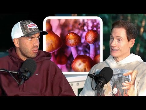BRYAN JOHNSON ON TAKING PSILOCYBIN MUSHROOMS!
