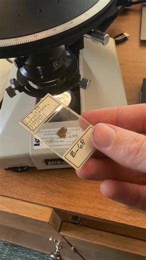 Dykanite on Instagram: "Minerals under a microscope! This one is called Hornblende, the first clip with less color is the rock seen under Plane Polarized Light - this means only one light polarizer is being used & light vibrates on only one plane so only certain minerals will show colors. The more colorful clips are under Cross- polarized light - this uses two polarizers and makes it so that light can only pass through if a mineral interferes. This interference changes the color appearance of th