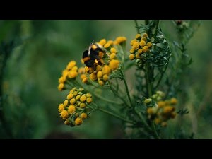 Washed Out Shares Steamy, NSFW Video for 'Paralyzed'