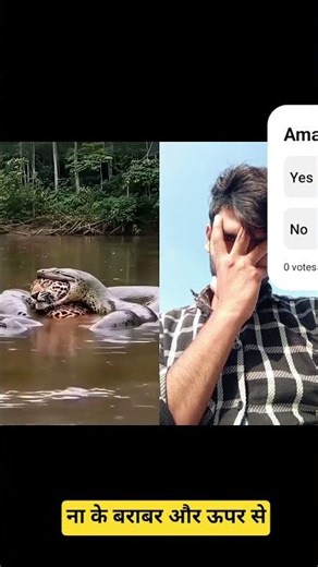 Amazon forest facts😳 #factsakhir amozon janagal. me log jinda lot kar kyu nhi ate