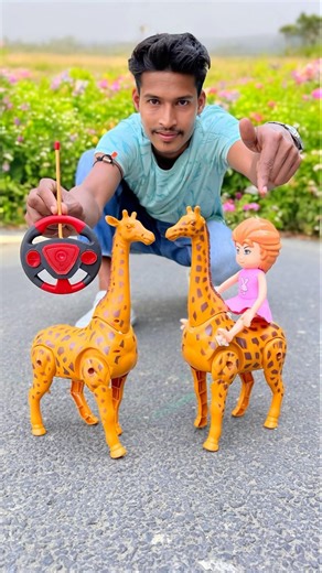 Rc Remote Control Giraffe vs Rider Giraffe Unboxing 😳