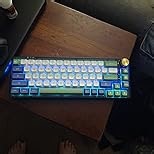 GK GAMAKAY LK67 65% RGB Modular DIY Mechanical Keyboard, 67 Keys Hot Swappable 3pin/5pin Switch, Programmable Triple Mode Bluetooth 5.0/USB-C Wired/2.4GHz Wireless Customized Keyboard Kit (Black)