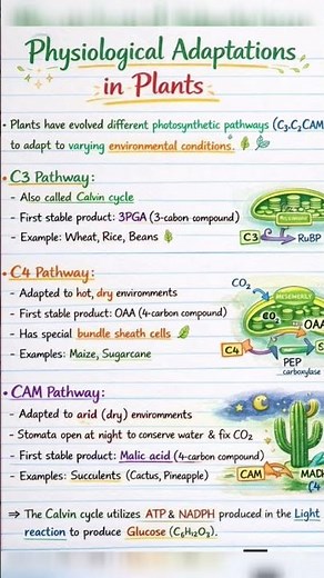 Understanding Physiological Adaptation in simple way 🌿 | Class 11 Biology (important for UKPSC also)
