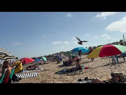 Barceloneta Beach Vibes