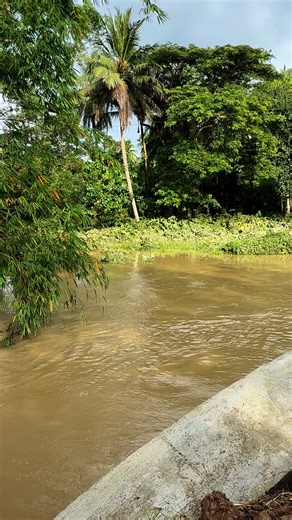 71K views · 698 reactions | Brgy. Riverside (Irrigation) Flood control Project | EA Denoy | Facebook