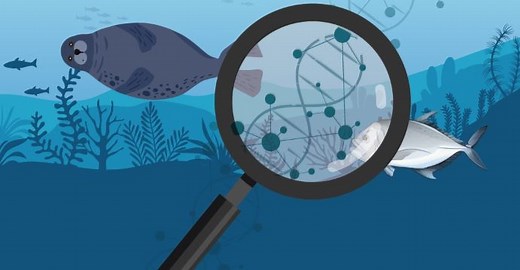 How can we track life in the ocean? - Science Journal for Kids and Teens