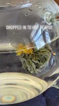 Tea Bloom | Beautiful Tea flowers | Saundra Kippers #dayinmylife