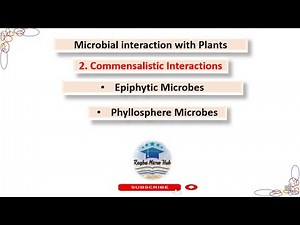 Commensalism, microbial interaction with plants #part2 #bacteriology #plant