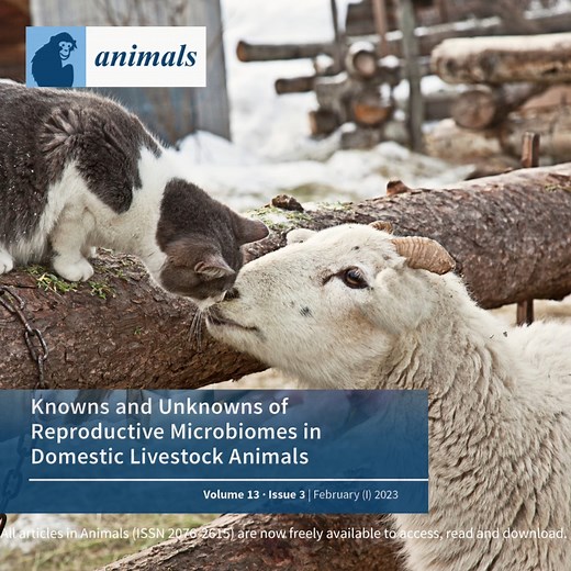 All articles in Animals (ISSN 2076-2615) Vol 13, Issue 3, are now freely available to access, read and download: https://fal.cn/3w6l4 COVER STORY: Reproductive efficiency in domestic livestock (dairy and beef cattle, swine, sheep and goats, and horses) is vital for increasing industry profitability and enhancing sustainability of U.S. animal production and agriculture. In recent years, reproductive microbiomes have been a focus of intense investigation with most efforts using 16S rRNA gene seque