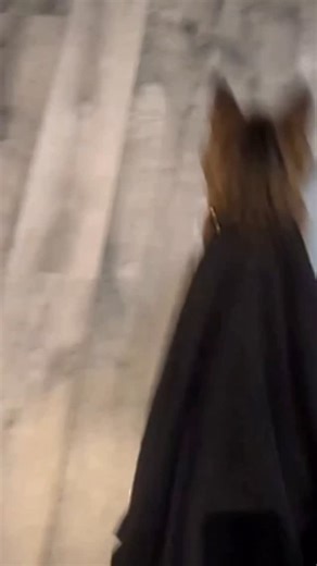 Jarry on Instagram: "This instagram reel shares a 15-second viral video from early December 2025, showing a capuchin monkey clinging to a water bottle rocket launched by a group during apparent Diwali festivities, soaring briefly before landing safely on a rooftop mattress. Reactions in replies mix awe at the monkey’s trust and survival-described as “bravest monkey”-with skepticism calling it Al-generated, though web sources confirm it’s a real, unedited clip spreading across platforms like Inst