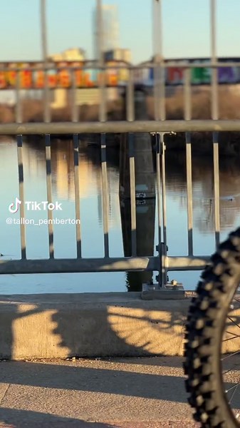 Cleanest Surron Build on TikTok