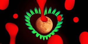 What Your Zodiac Sign Says About You