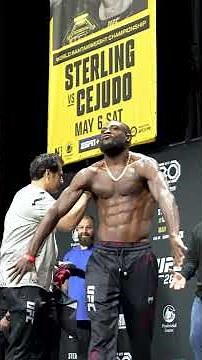 バンタム級の頂上決戦👊 #UFC288