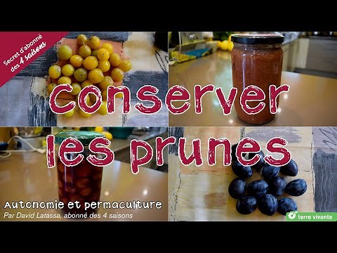 Preserving Plums in Different Ways - Self-Reliance and Permaculture with David