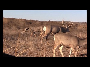 Don't forget to order your HECS hunting suit for that hunter in your life. Perfect gift this holiday season. If you use my promo code 'LoneStar' you'll get $30 off your Hecs suit. | Lone Star Outdoors Show