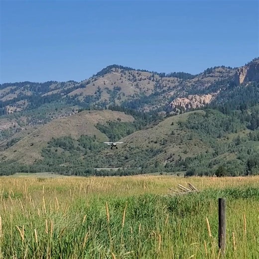 stuff 🤠🤙🤙 #Aviat #landing #STOL #wyoming #grassfield #taildragger #Husky | BareSky
