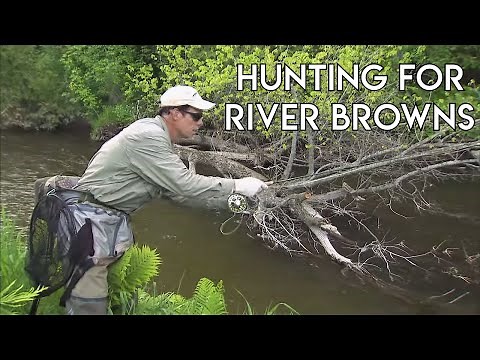 Brown Trout River Hunting