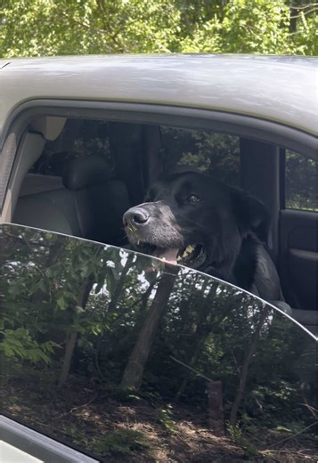 birchsierra_cameron on TikTok