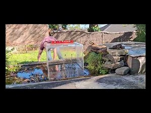 Upside down aquarium in the fish pond Made with Clipchamp