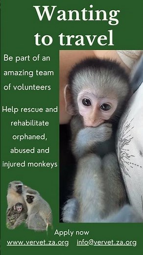 volunteers wanted