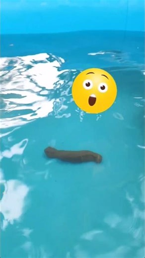 That's in the pool #short