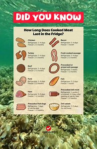 DID YOU KNOW: HOW long does cooked meat last in the FRIDGE? | Checklist Studio