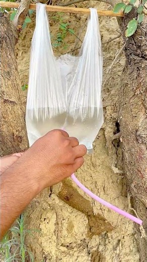 Genius idea.