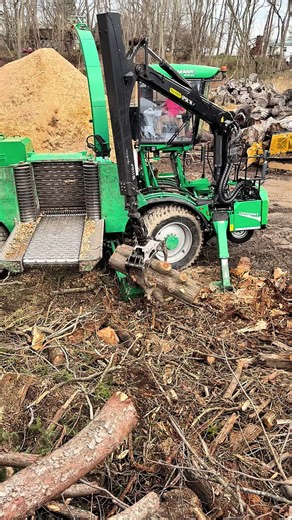 Kravitz Tree Service: Stunning Tree Work