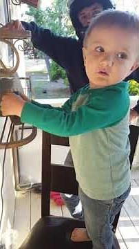 Alexa, play baby shark