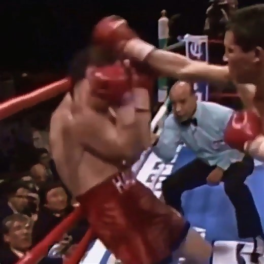 Julio Cesar Chavez vs Greg Haugen Highlights | Street Fight Europe