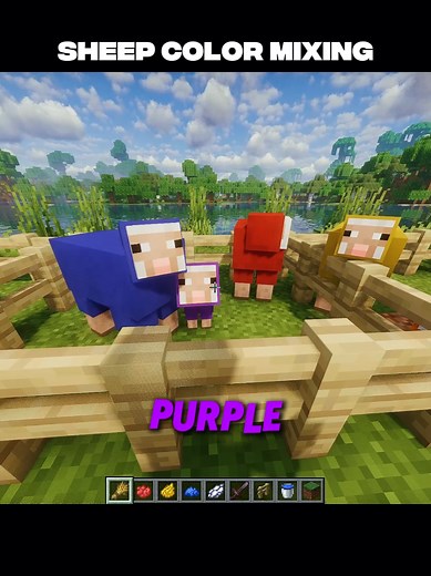 Sheep Color Mixing in Minecraft: A Creative Guide