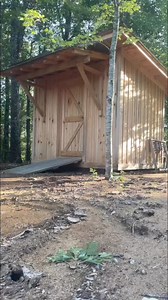 17K views · 312 reactions | Pinewood saw shed build #woodwork #woodworking #diy #sheds #pinewood #fyp #reels #building #sawmill | Tick Creek Ranch | Facebook