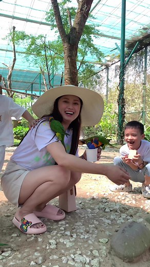 30K views · 349 reactions | Safari Nam Hội An | Cát Tường Tv | Facebook