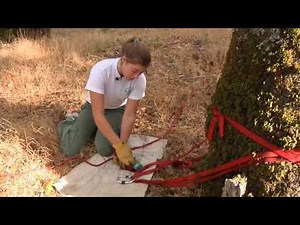Search & Rescue Video Training: Belay (part 5)