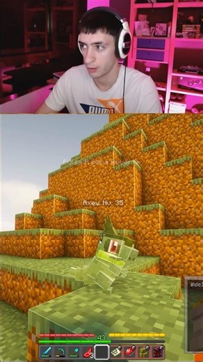 What a CRAZY wild Pokemon encounter - COBBLEMON