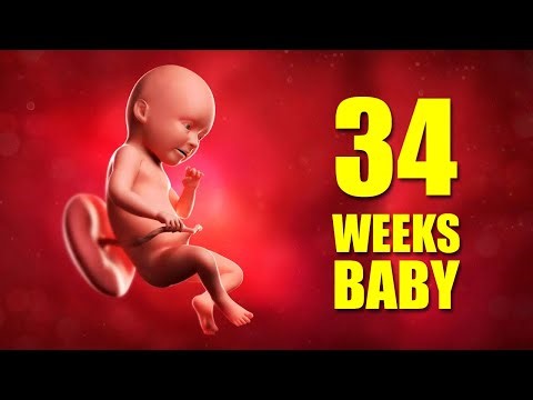 34 Weeks Pregnant Baby Position – Baby Movement and Weight