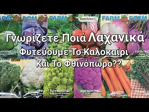 ΛΑΧΑΝΙΚΑ: Γνωρίζετε Ποιά Λαχανικά Φυτεύουμε Το Καλοκαίρι & Το Φθινόπωρο #λαχανικά #κήποσ #κηπουρική