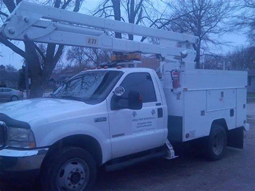 Perez Tree Service LIC | Henderson NE