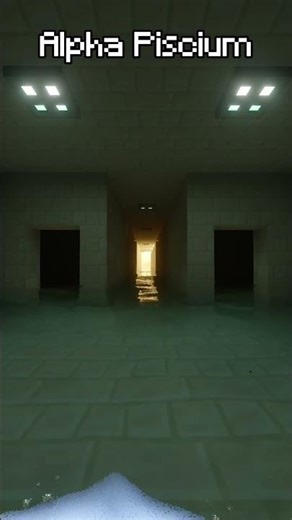 Which Shader Looks The Best In The Backrooms? #minecraft