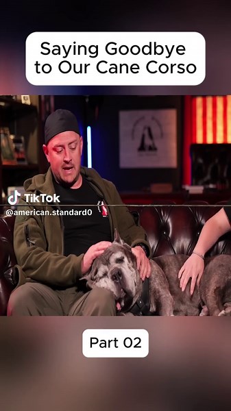 Effective German Shepherd Training Tips and Techniques