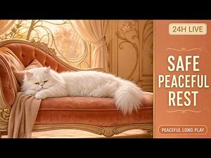🔴 LIVE: 24 HOURS Cozy Music for Cats | Separation Anxiety Relief & Deep Sleep | No Ads