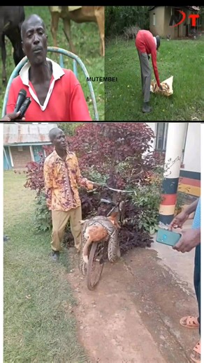 Presenter Vendy on Instagram: "Viral Siaya Man Breaks Silence After Killing Python That Killed His Dog”"