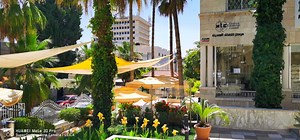 Modern Language Center For Translation services