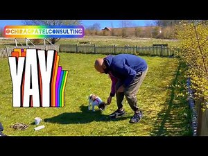 Does your puppy growl when you approach their treat or food?