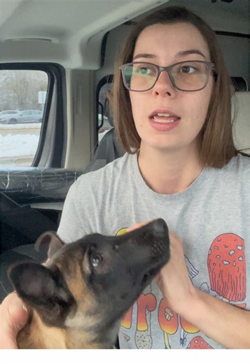 Realities of Van Life: Embracing the Journey